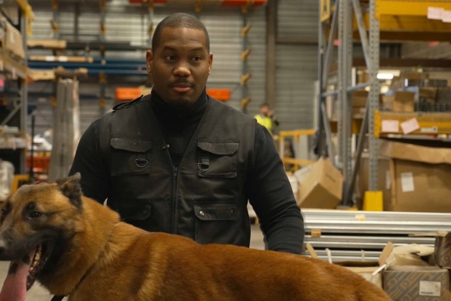 comment les chiens des gardiens pénitentiaires sont formés pour détecter des armes et des produits stupéfiants ?