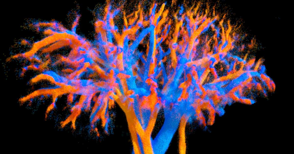 une échographie d’un nouveau genre pour révolutionner le diagnostic