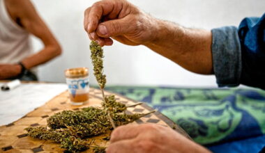 Le vrai poids du Maghreb dans le narcotrafic en France