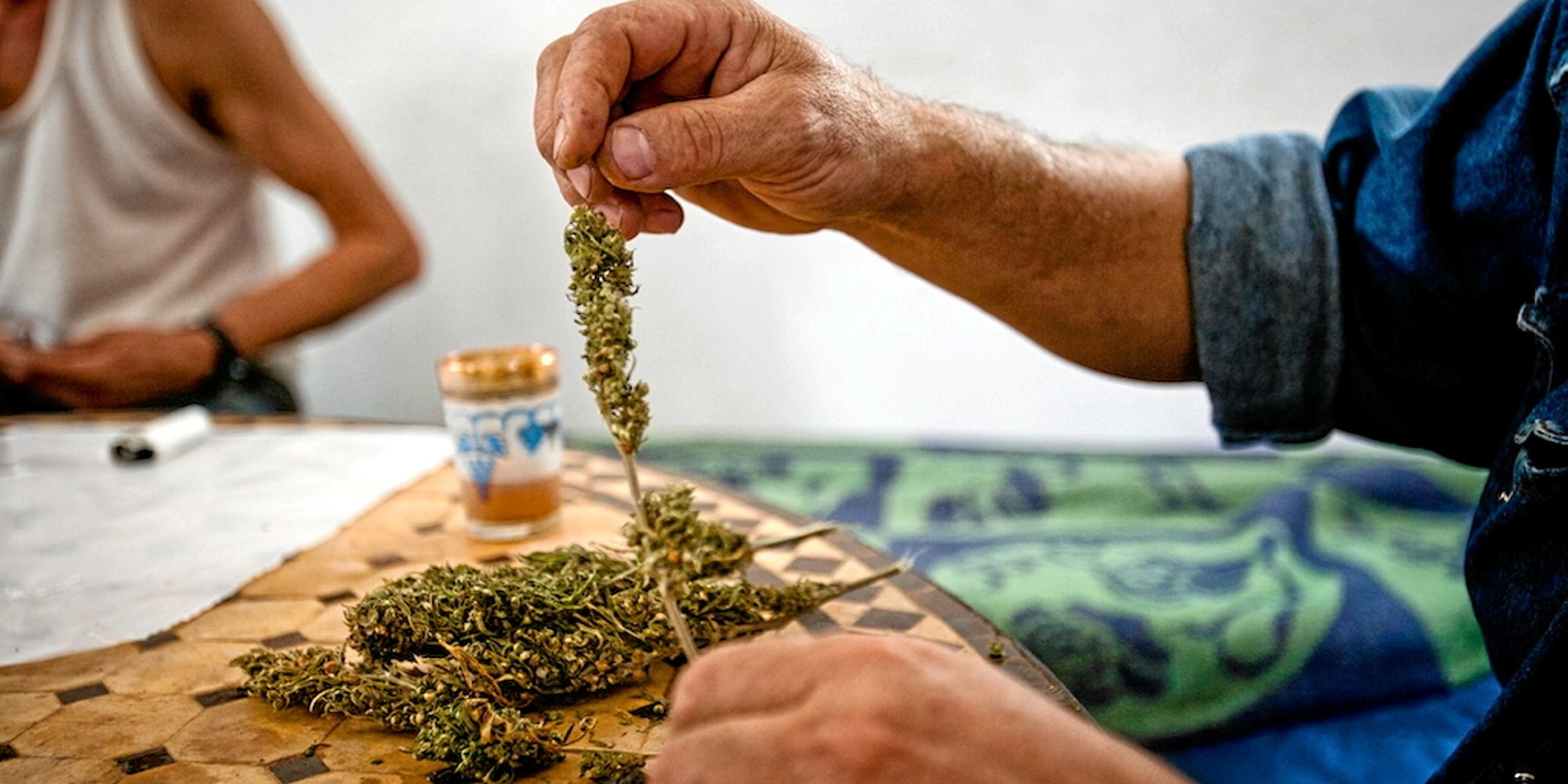 Le vrai poids du Maghreb dans le narcotrafic en France