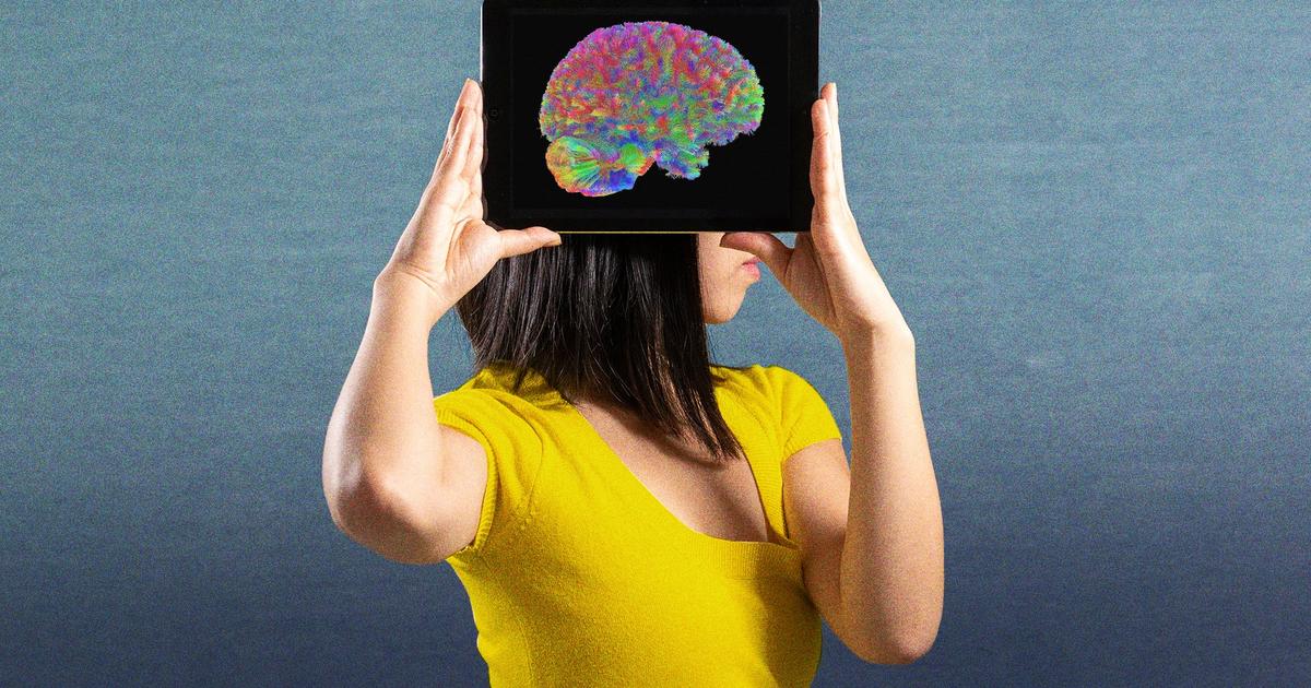 ces quatre âges où notre cerveau basculerait
