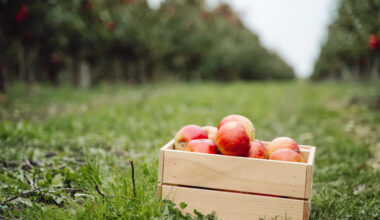 Page d'accueil Yahoo news