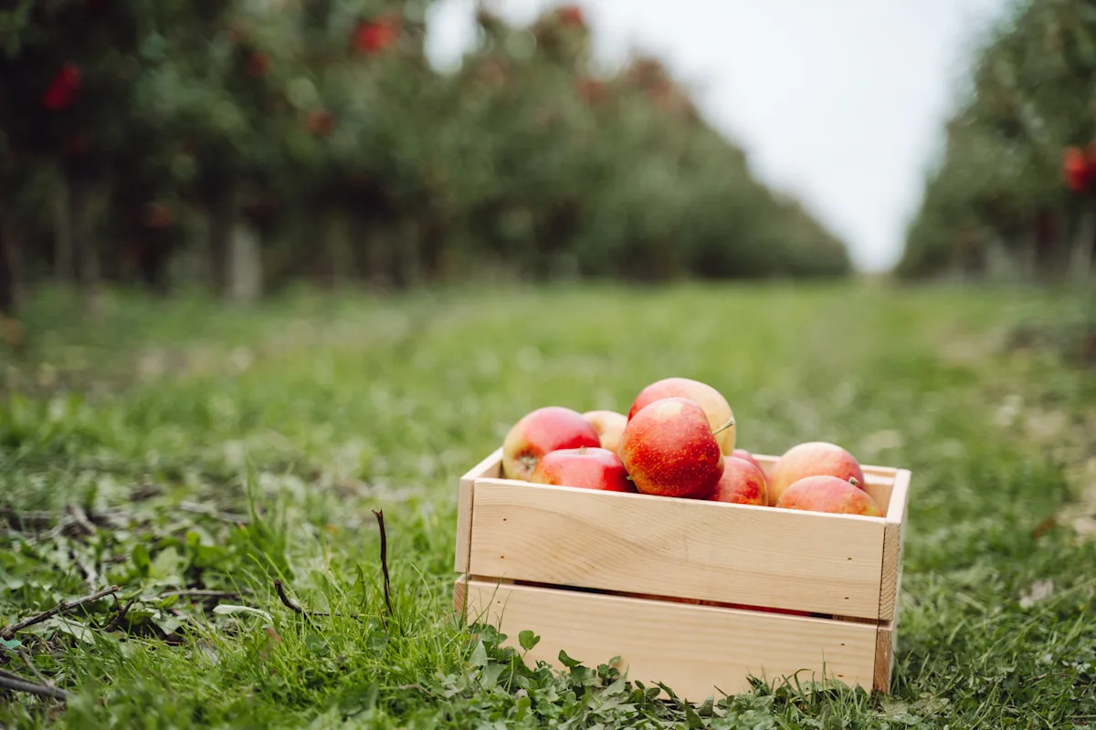 Page d'accueil Yahoo news