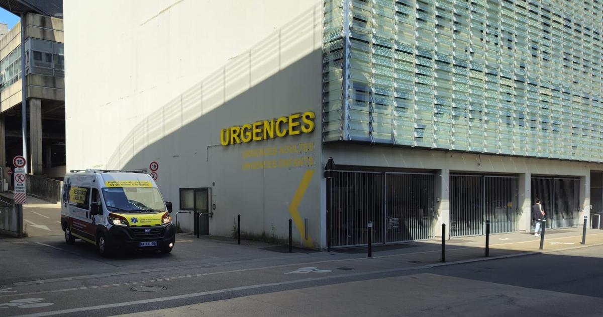 une femme meurt poignardée d’une «vingtaine» de coups de couteau, son ex-conjoint retrouvé pendu