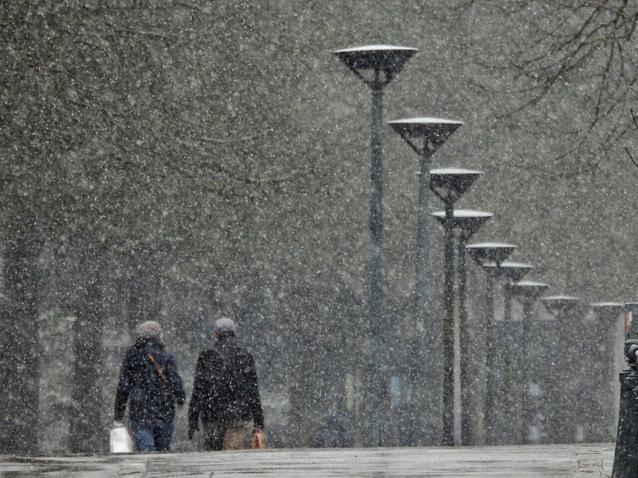 Météo. Des chutes de neige attendues à Saint-Étienne et dans la Loire, la vigilance activée