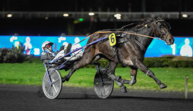 Arrivée du quinté du vendredi 14 à novembre à Paris-Vincennes : Humanity Pellini poursuit son ascension