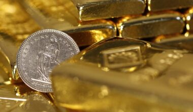 près de Lyon, un habitant découvre un trésor en creusant dans son jardin