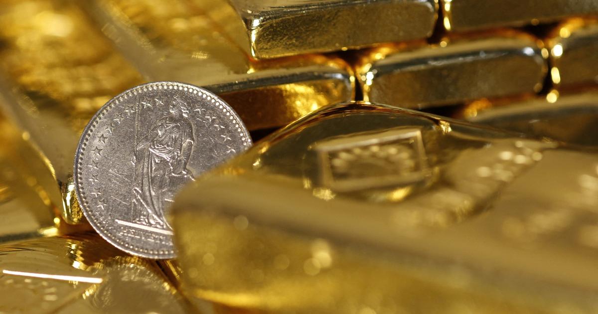 près de Lyon, un habitant découvre un trésor en creusant dans son jardin