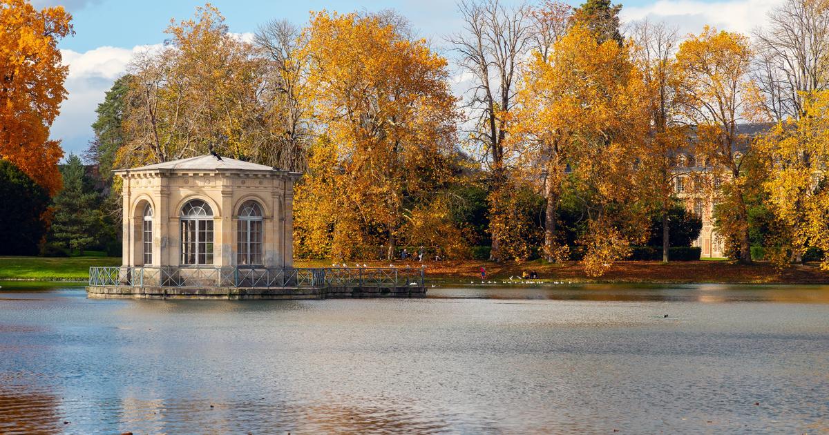 Parc de l’Étrange, escape game Halloween, magnifiques jardins et pièces d’eau… nos 3 idées sorties ce week-end en Île-de-France