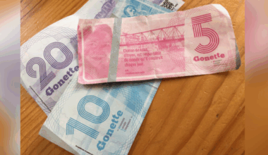 La Gonette fête ses 10 ans : la monnaie locale de Lyon veut encore se développer