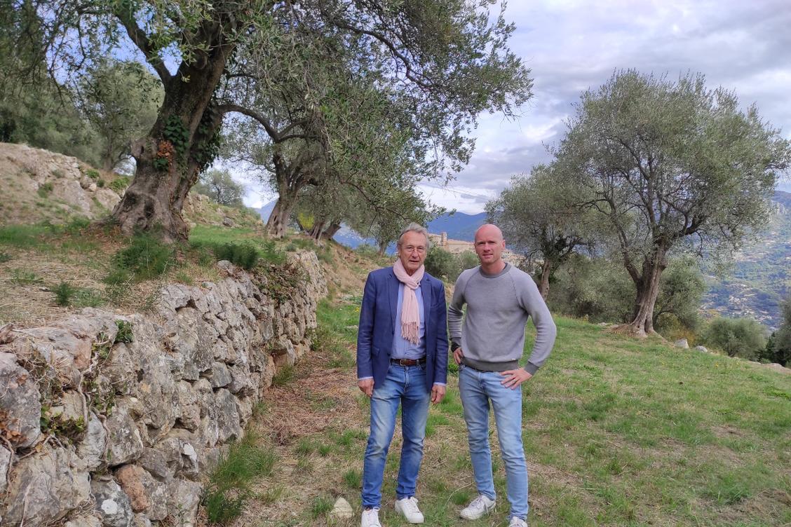 À Carros, la mairie sauve des oliviers centenaires menacés par la pression immobilière