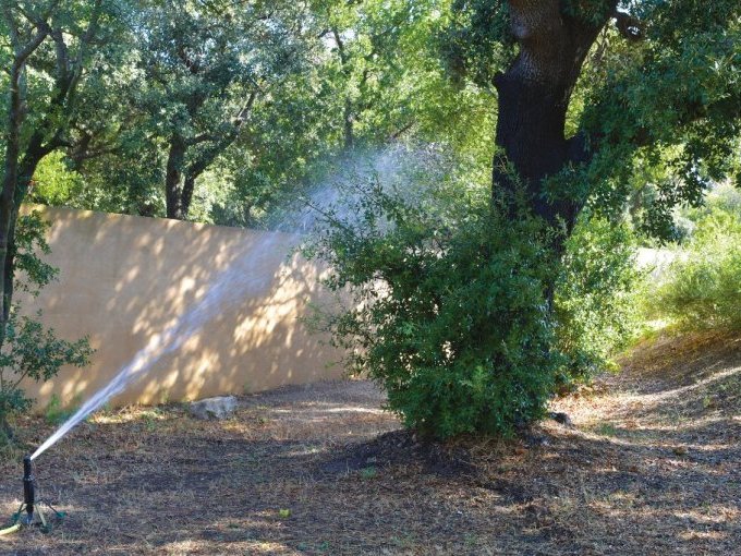 À Marseille, la ressource