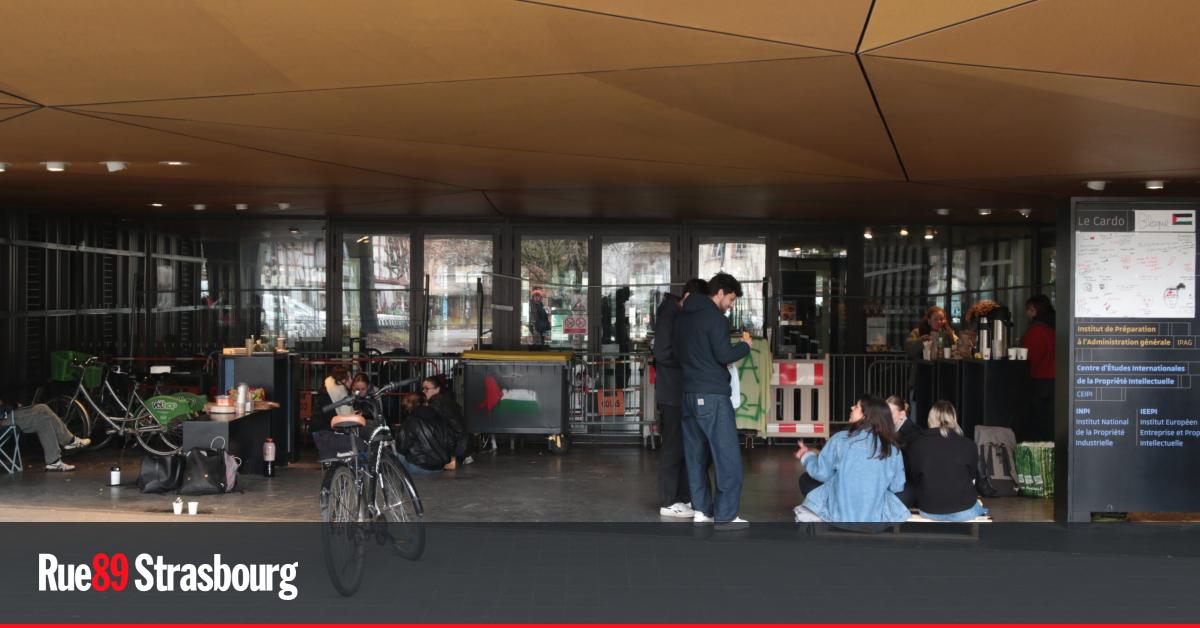 Rassemblement à Sciences Po contre la surveillance d'une chercheuse sur la Palestine