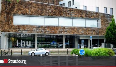 [Exclu] Le rapport sur l'affaire des cochons de l'IHU de Strasbourg