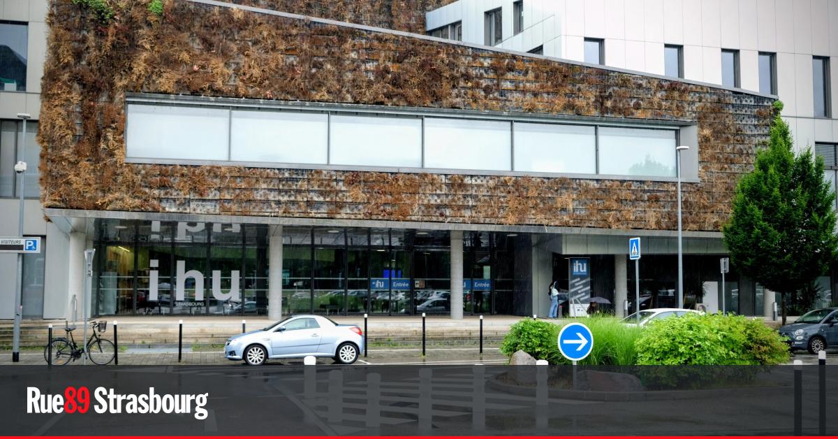 [Exclu] Le rapport sur l'affaire des cochons de l'IHU de Strasbourg