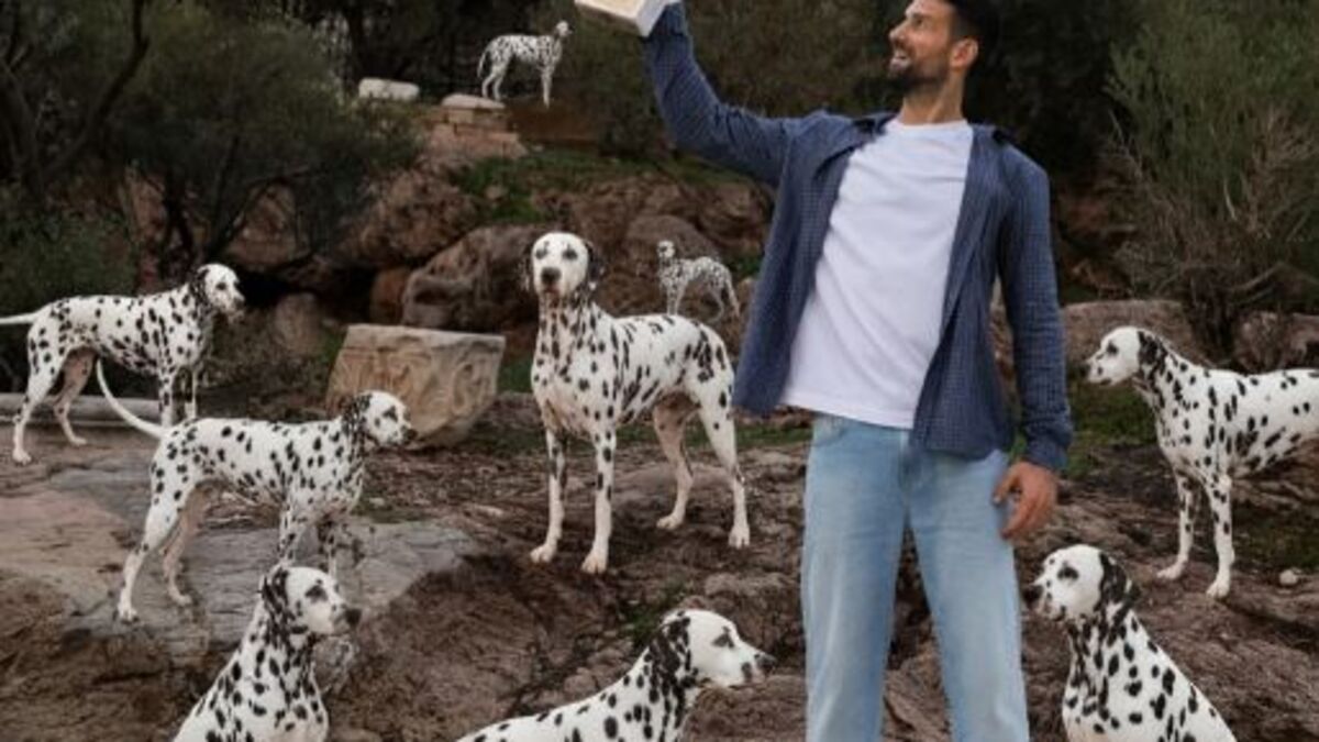 Tennis : pour fêter le 101e titre de sa carrière, Novak Djokovic prend la pose au milieu de… dalmatiens