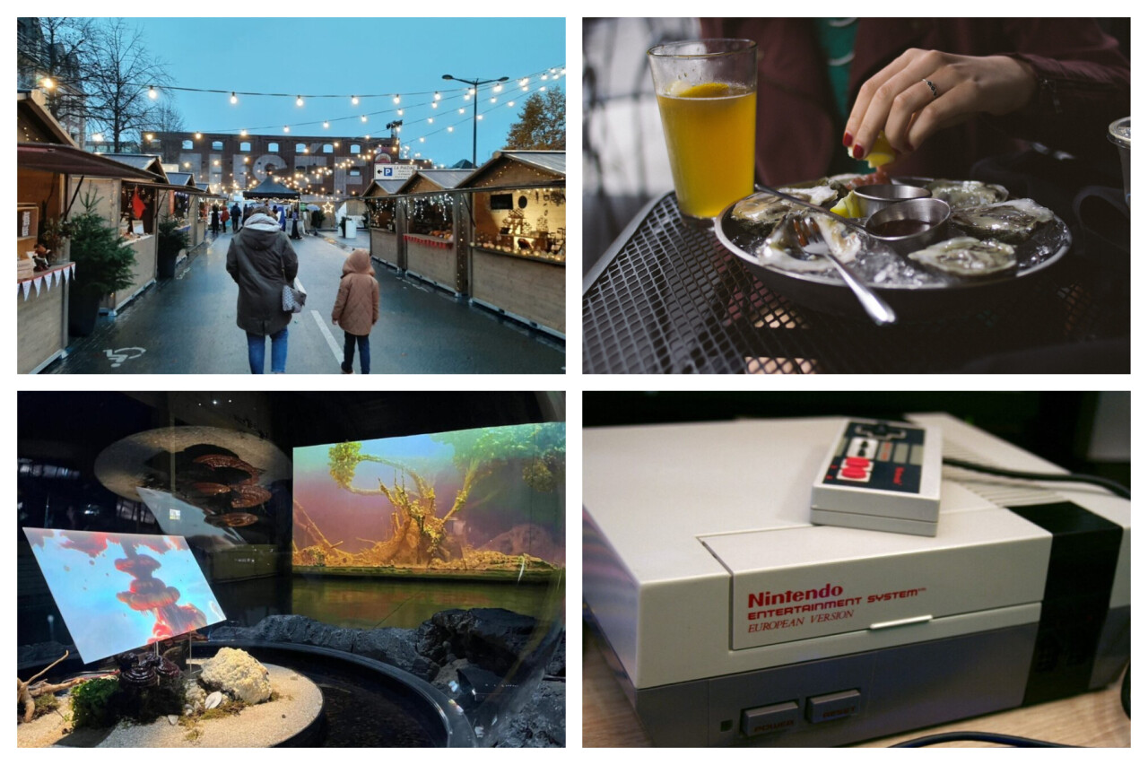 Voici nos 10 idées de sorties à Lille et dans ses alentours pour ce samedi 29 novembre