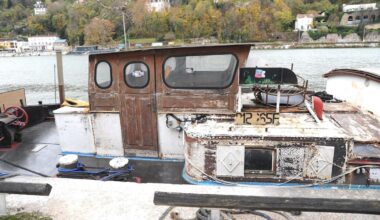 Cagnotte, caméras et chiens… l’incroyable mobilisation qui a permis de retrouver le corps de Flynn, disparu à Lyon