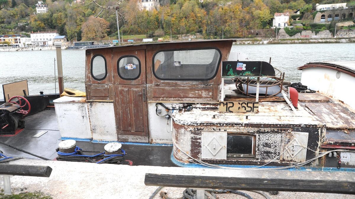 Cagnotte, caméras et chiens… l’incroyable mobilisation qui a permis de retrouver le corps de Flynn, disparu à Lyon