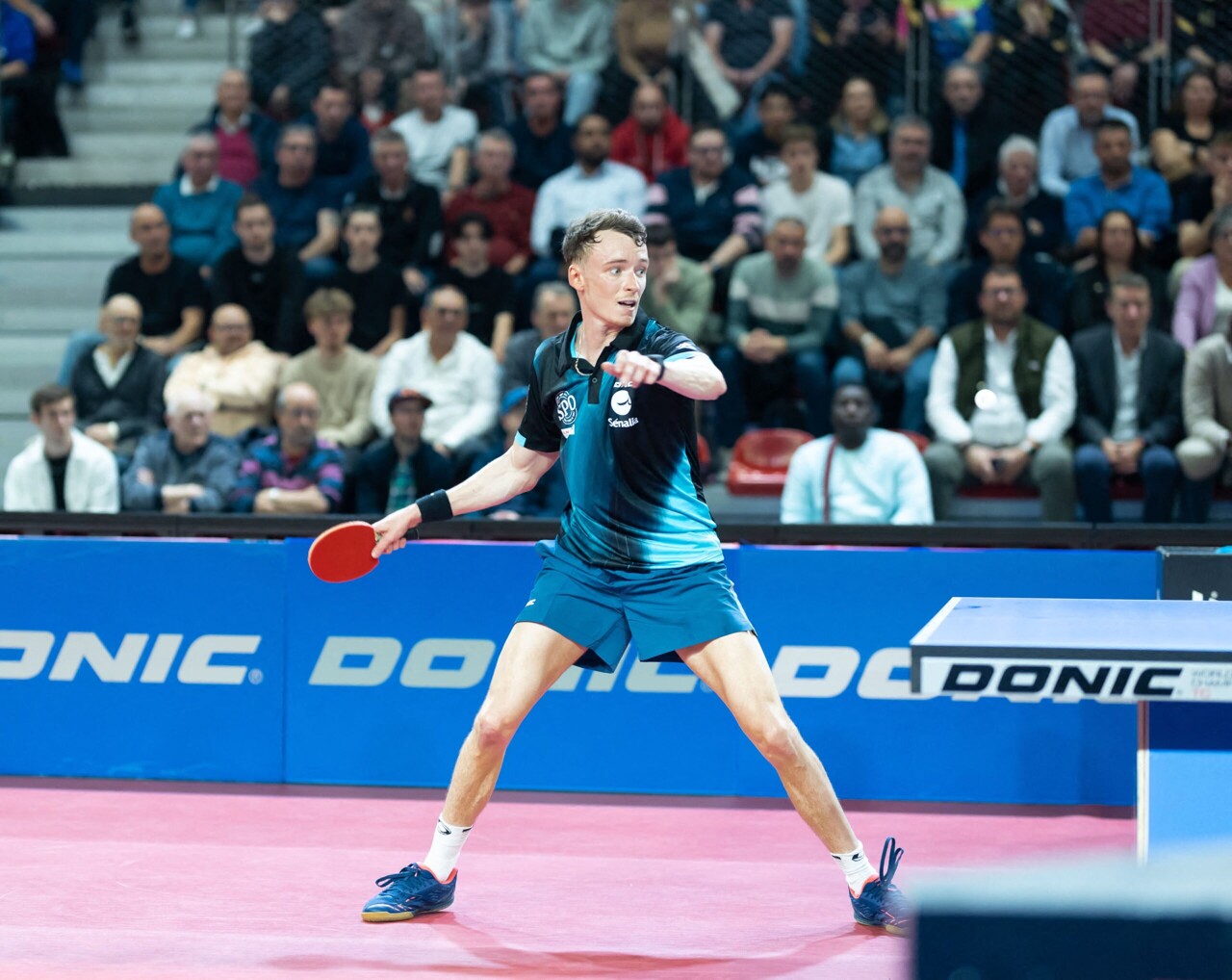 Le SPO Rouen Tennis de Table, l'histoire de l'ascension fulgurante d'une bande de copains