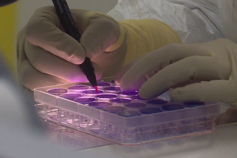 "Un immense gâchis", Valneva centralise ses activités en France et ferme son site de Nantes