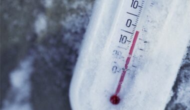 un "froid plus marqué" attendu ce week-end