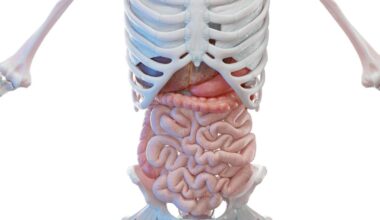 Cinq conseils inattendus d’une gastro-entérologue pour ne plus avoir mal au ventre