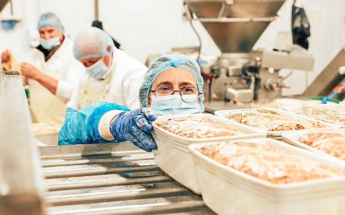 Près de Rennes, cette entreprise de charcuterie recrute 130 saisonniers face au boom des fêtes de fin d’année