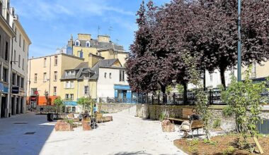 30 000 arbres devaient être plantés à Rennes au cours du deuxième mandat de Nathalie Appéré : la promesse a-t-elle été tenue ?