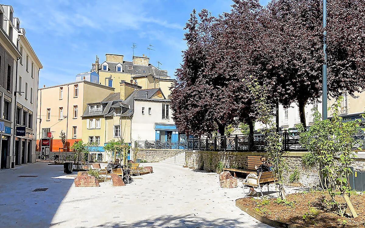 30 000 arbres devaient être plantés à Rennes au cours du deuxième mandat de Nathalie Appéré : la promesse a-t-elle été tenue ?