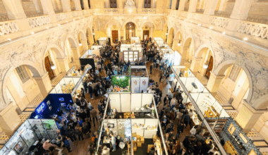 Ginsiders Festival - Radio SCOOP