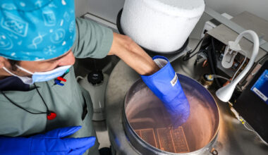 Congeler ses ovocytes à Paris et en Île-de-France ? « C’est quand même une belle galère »