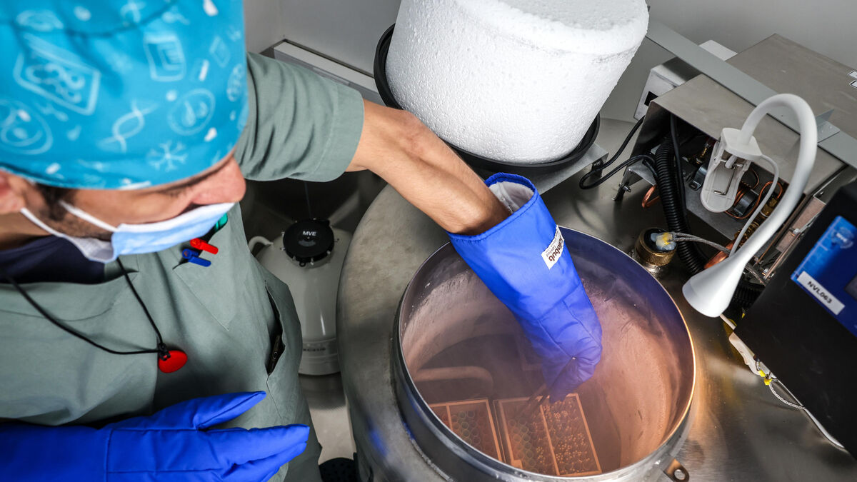 Congeler ses ovocytes à Paris et en Île-de-France ? « C’est quand même une belle galère »