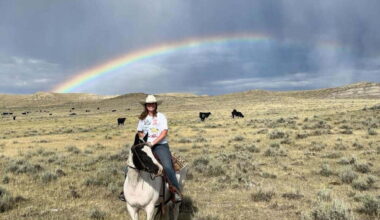 « C’est pas comme au cinéma ! »