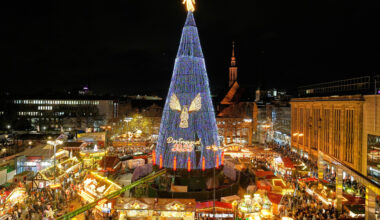 Allemagne | Illumination du plus grand sapin de Noël naturel du monde