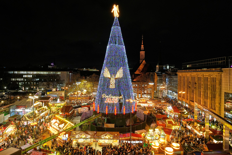 Allemagne | Illumination du plus grand sapin de Noël naturel du monde