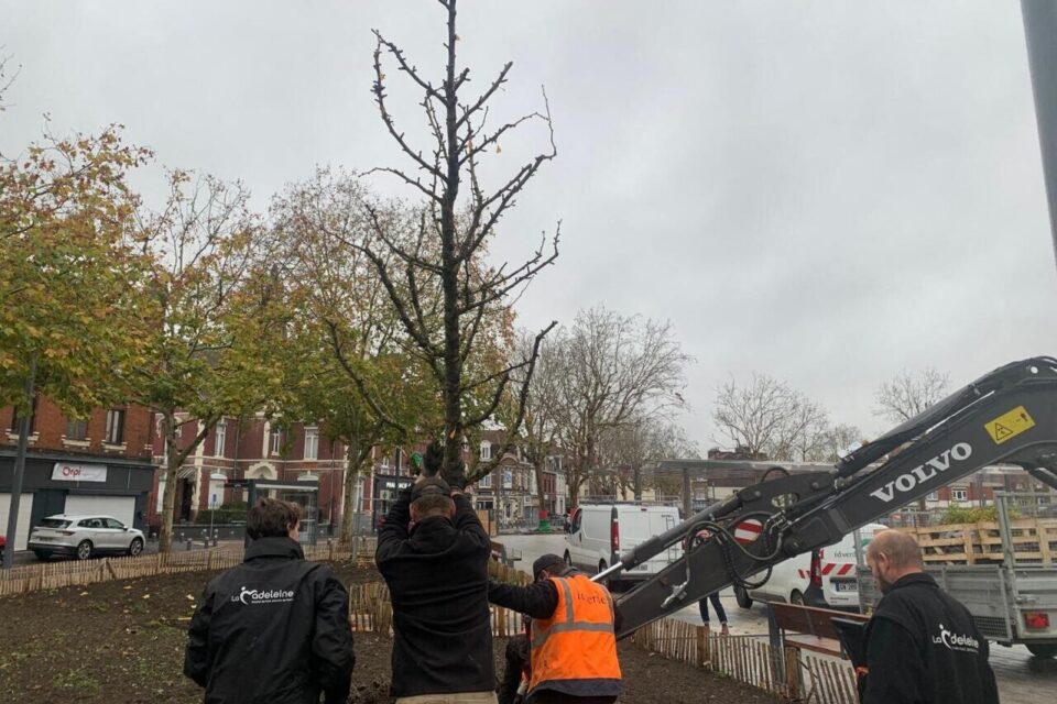 Un Ginkgo, qui devrait les 12-13 mètres, a été planté en hommage à Ilan Halimi.
