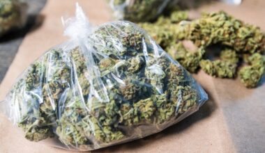 Lyon. Pour se préparer à l'arrivée du bébé, le couple fait la nourrice pour des dealers