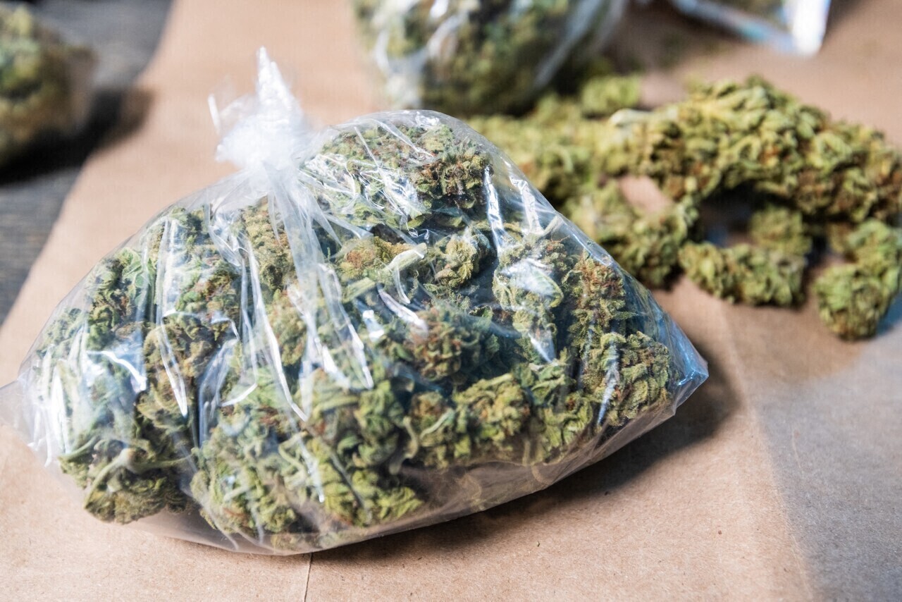 Lyon. Pour se préparer à l'arrivée du bébé, le couple fait la nourrice pour des dealers