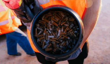 Clean in Lyon : plus de 7.000 mégots ramassés cette année