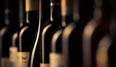 Le «gang des grands crus», suspecté d’avoir dérobé les vins les plus prestigieux de France, jugé à Bordeaux