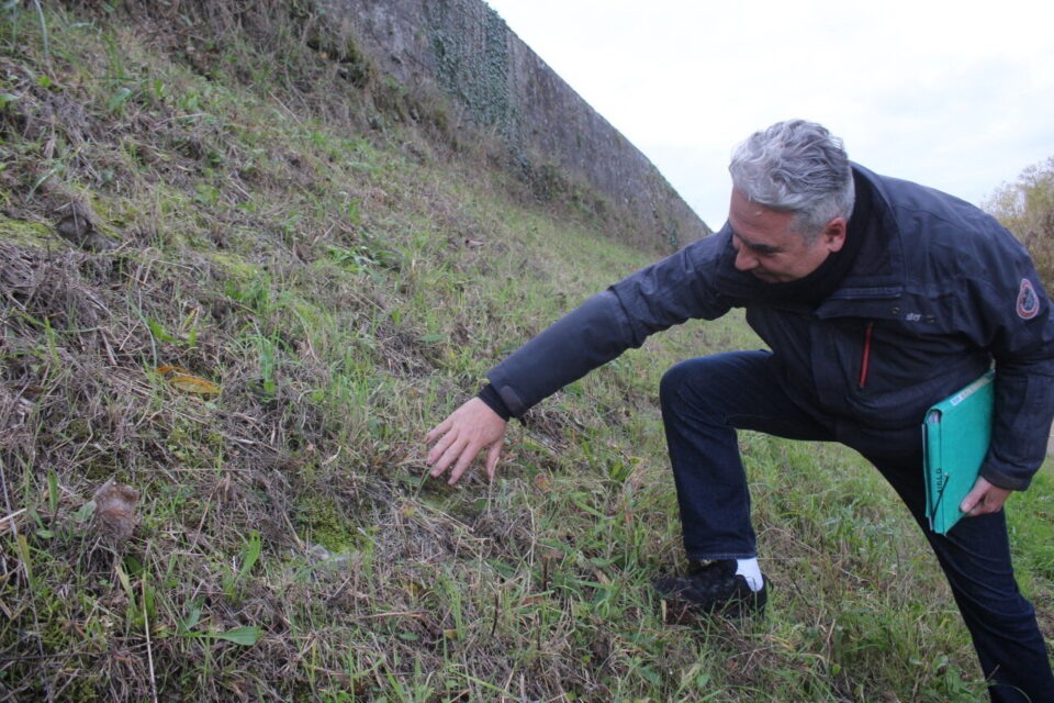 AIDLD - défense levée de la Divatte - perré - végétation