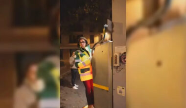 Page d'accueil Yahoo news