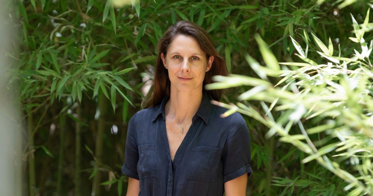 « Nous espérons produire 100 millions de moustiques-tigres par semaine »