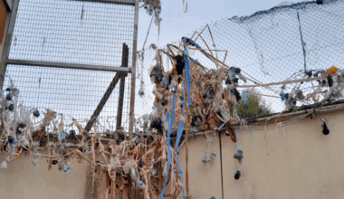 Les photos saisissantes de la maison d’arrêt de Nice croulant sous les projections