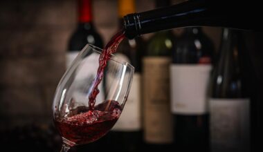 Dégustations, visites, rencontres… Le vignoble de Bellet ouvre ses portes tout le week-end à Nice