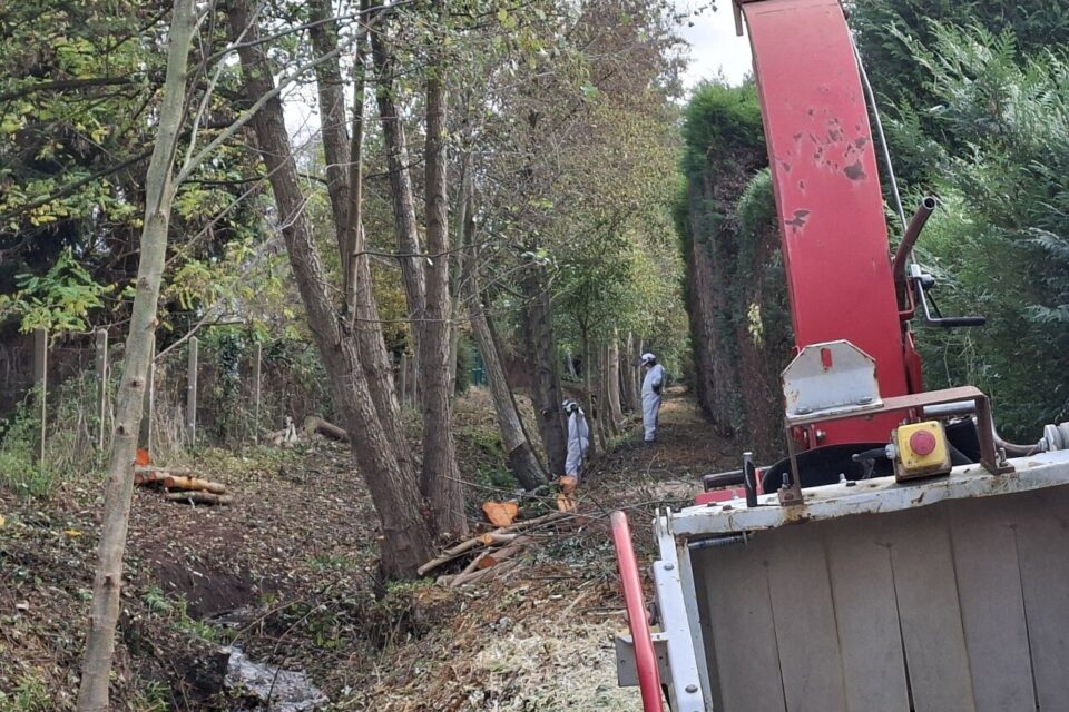 Nettoyage désamiantage berges de l'Oison Saint-Pierre-lès-Elbeuf