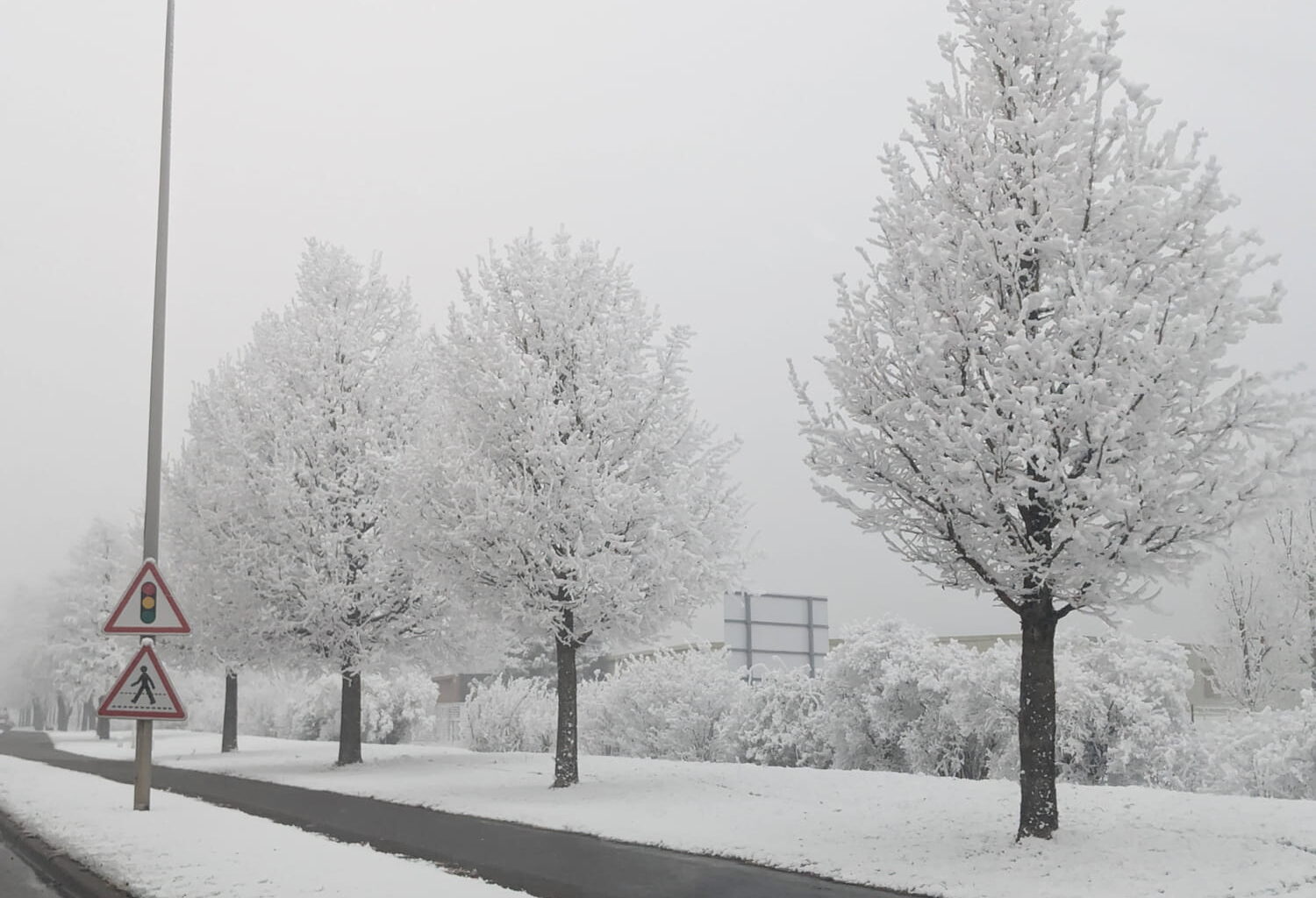 Normandie, Paris, Auvergne... Voici où les flocons arrivent selon les prévisions météo