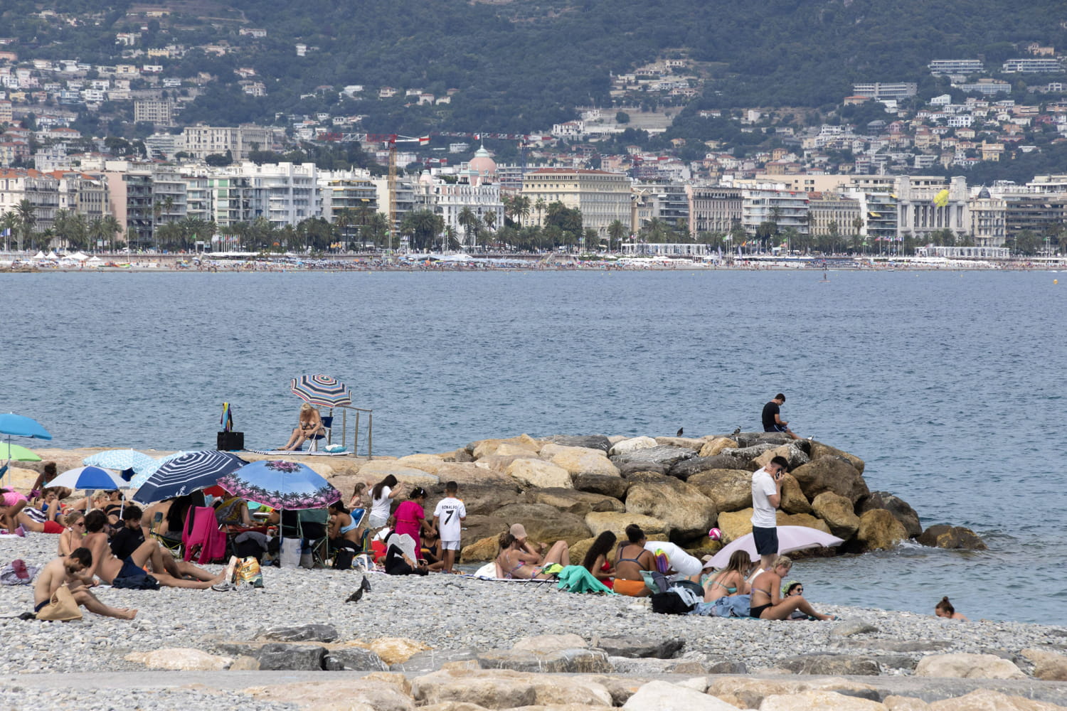 un duel attendu, la gauche morcelée... Les derniers sondages sont formels