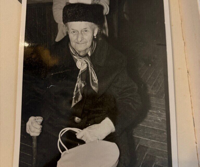 Sainte Denis le THiboult Olive résistante